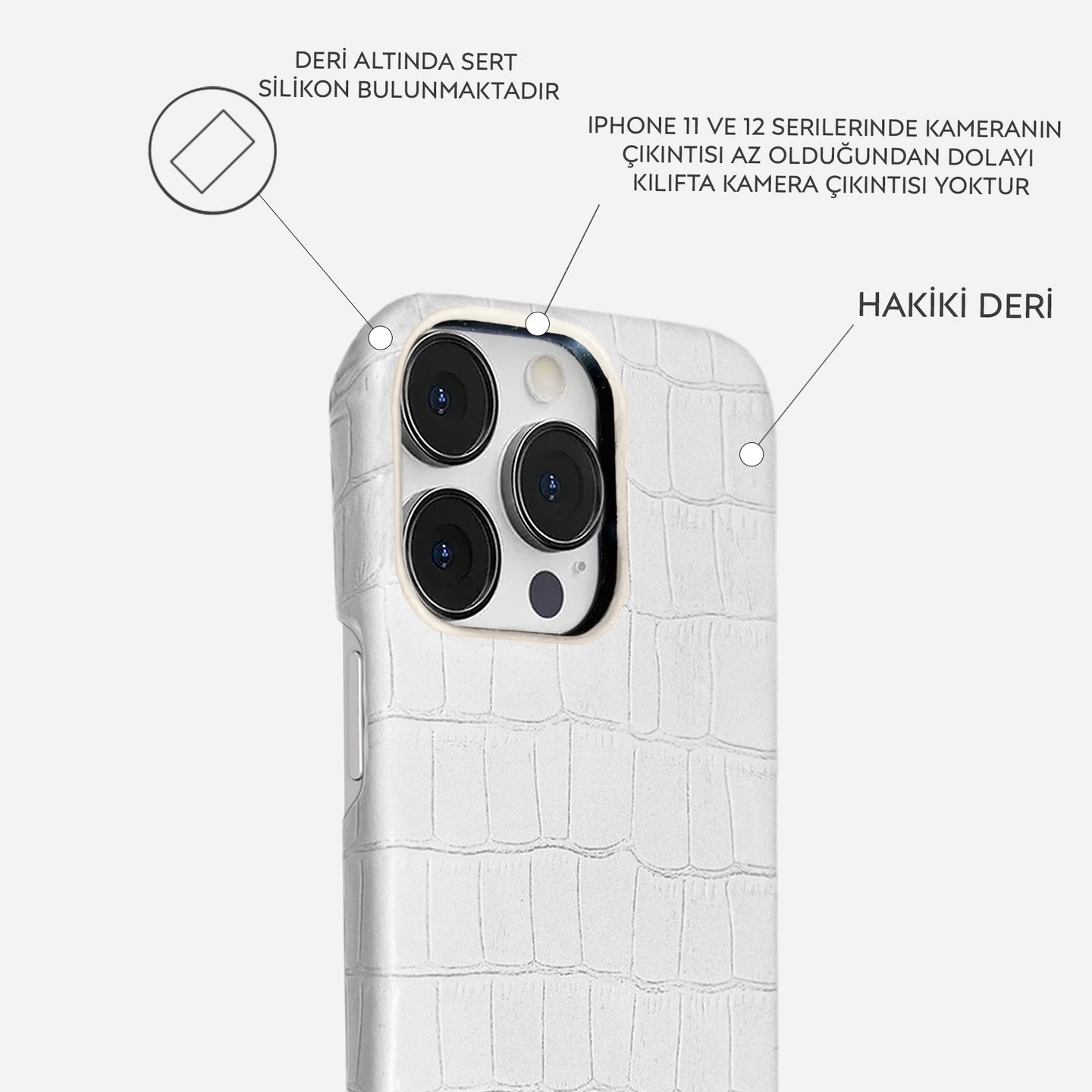 iPhone 12 Pro Max﹒Vega